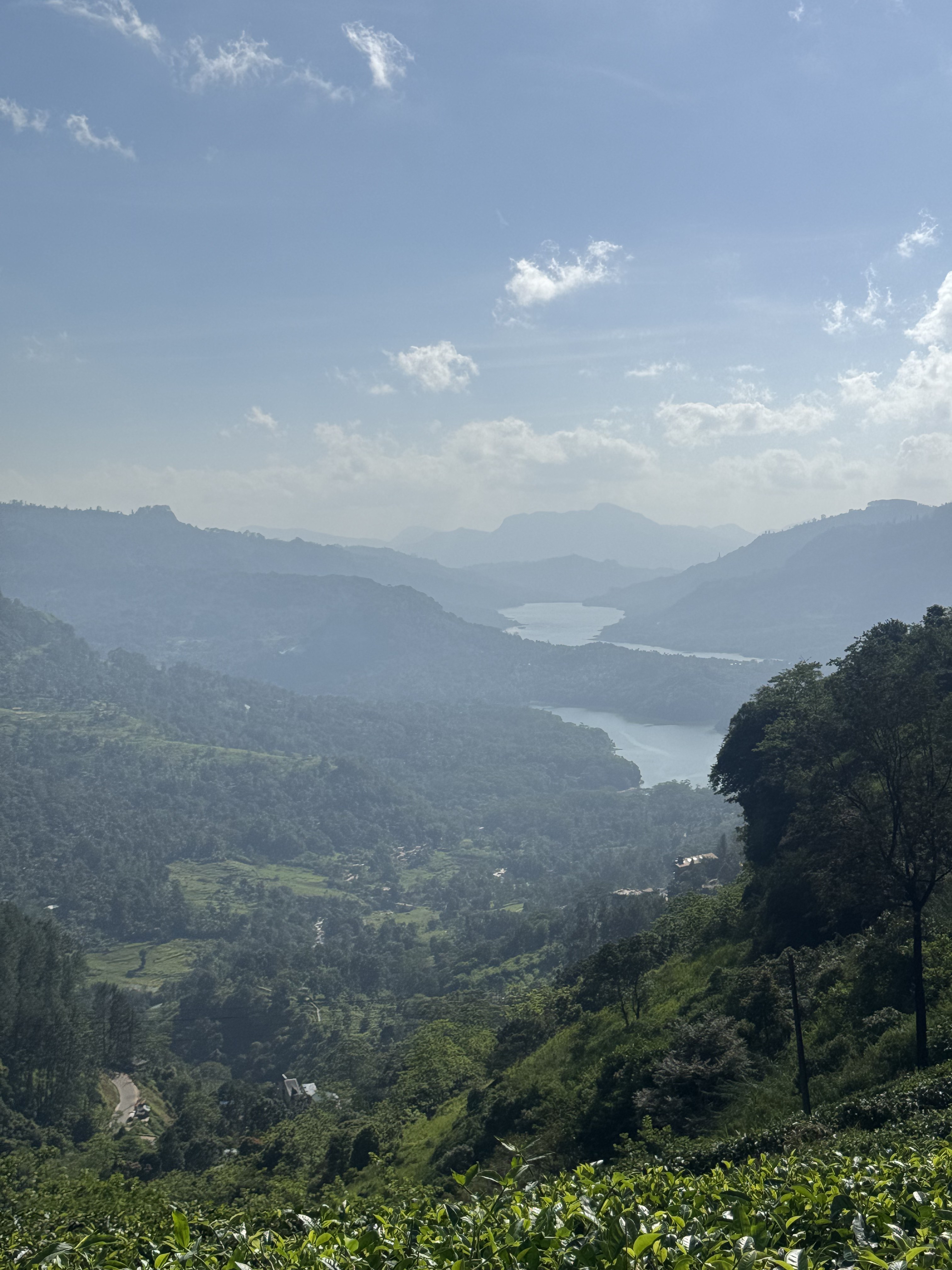 Day 5: Nuwara Eliya & Horton Plains